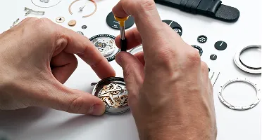 ROCS (Ressence Orbital Convex System)